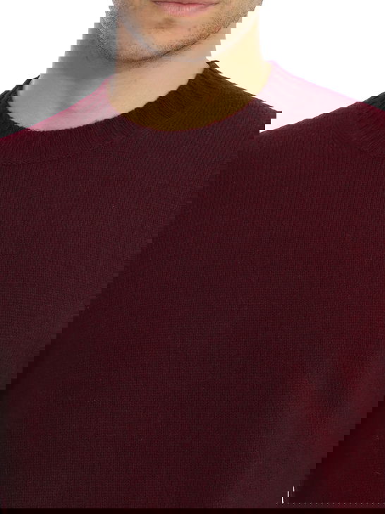 Alan Paine Maglia Alan Paine Kinnadie Bordeaux Offerte giornaliere